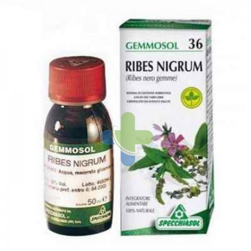 Specchiasol Gemmosol 36 Ribes Nero 100ml