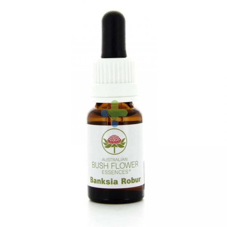 Natur Banksia Robur Essenza 15ml