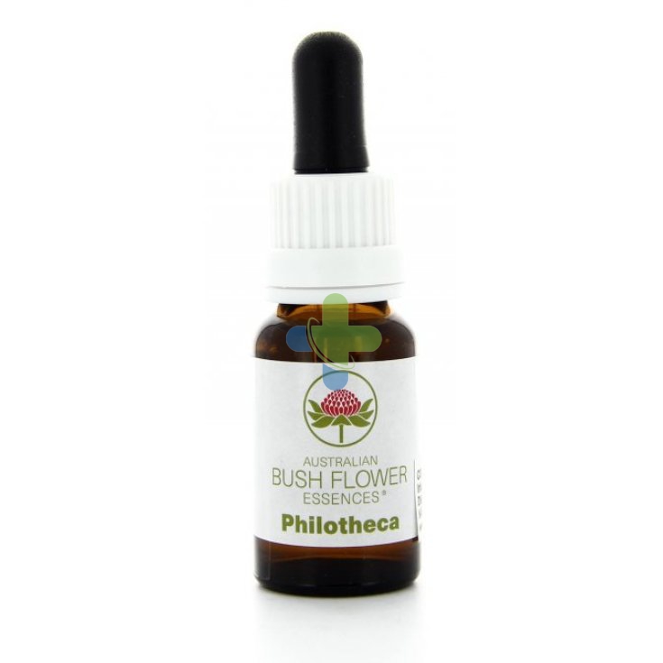 Natur Philoteca Essenza 15ml