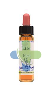 Natur Gorse Essenza 10ml