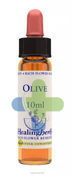 Natur Olive Essenza 10ml