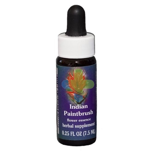 Natur Indian Paintbrush 7,4ml Calf
