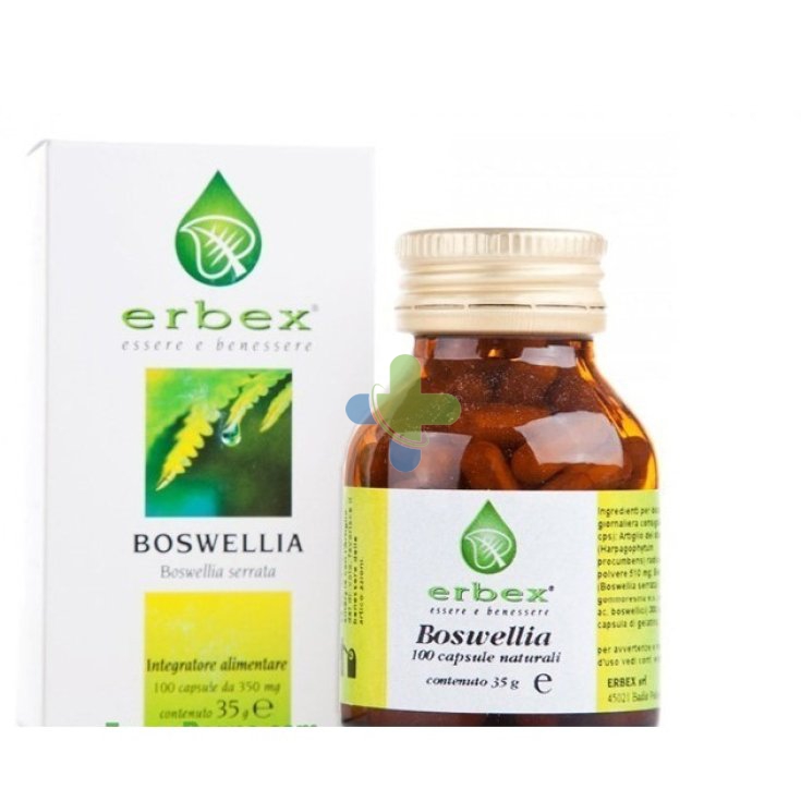 Erbex Pilosella 100cps 350mg