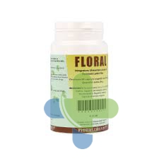 Euronatur Group Floral 60cps