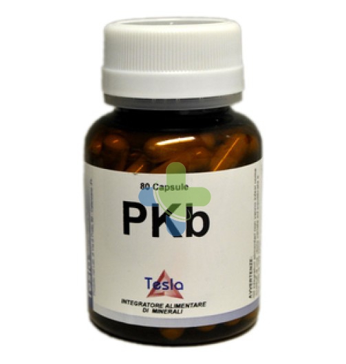 Tesla Sas Di Dr.zucchi & C. Pkb 80cps 71,7g