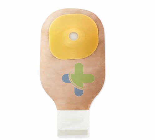 Hollister Moderma269 Flex Cvx Tr15/51 30