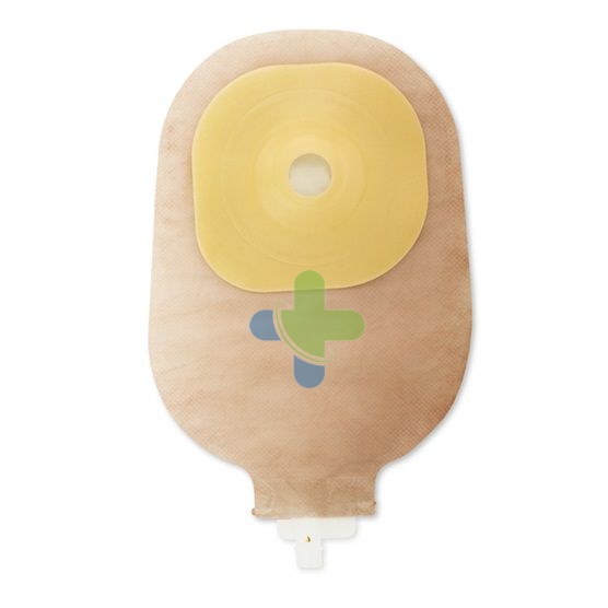 Hollister Moderma293 Flex Cvx Tr15/38 10