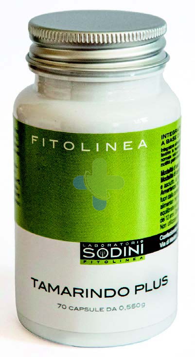 Laboratorio Sodini Salvia Sol Ial 100ml