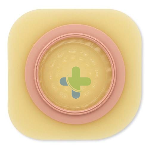 Hollister Pouchkins Ped Flangia 12mm 5pz