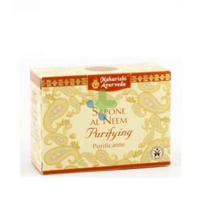 Map Italia Sapone Neem 100g