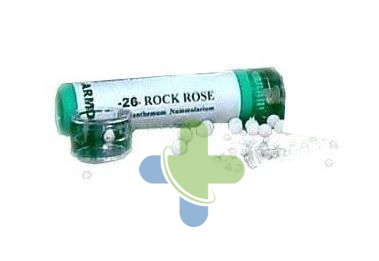 Tesla Sas Di Dr.zucchi & C. Armonic 33 Walnut 70gr