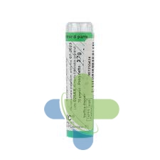 Tesla Sas Di Dr.zucchi & C. Armonic G1 70gr