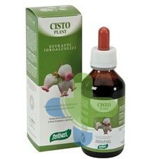 Vital Plus Zef05 Cisto Plant Stv