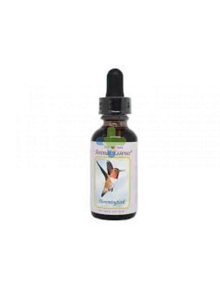 Natur Colibri Hummingbird Ess 30ml