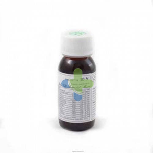 Labor Villa Stoddard Lvs 10n Sabal Serrulatum Comp