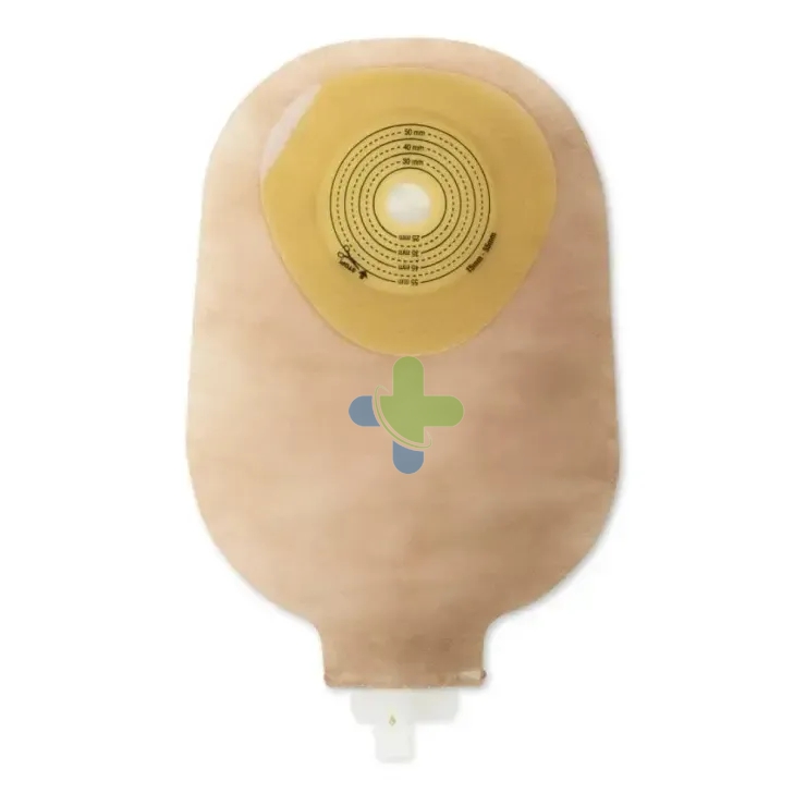 Hollister Moderma295 Sacca Tras Rit15/55