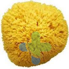 Farmacon Sas Di Billi & C. Amidosan Spugna Di Mare 11