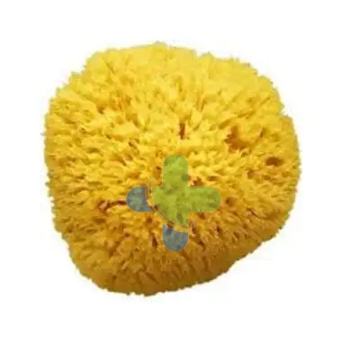 Farmacon Sas Di Billi & C. Amidosan Spugna Di Mare 12