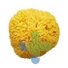 Farmacon Sas Di Billi & C. Amidosan Spugna Di Mare 13