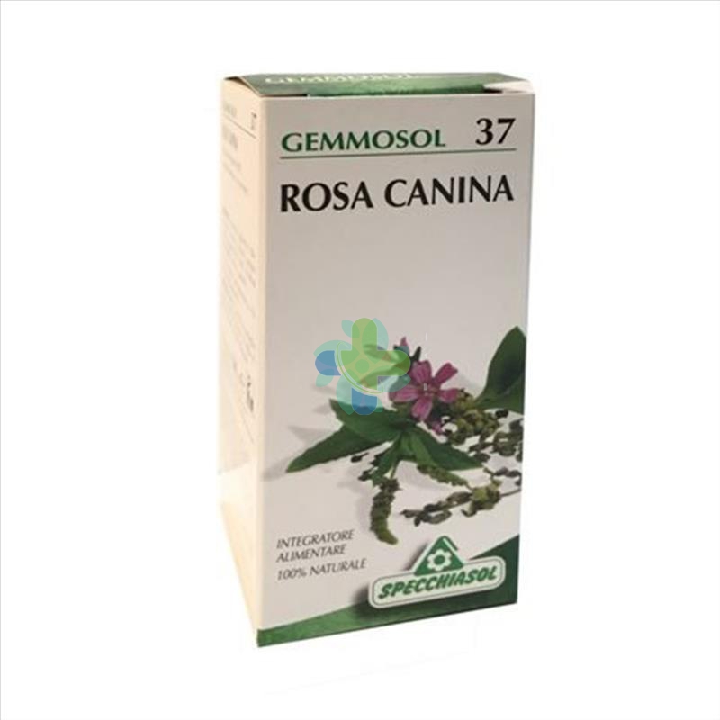 Specchiasol Gemmosol 37 Rosa Canina 50ml