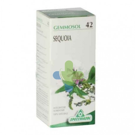 Specchiasol Gemmosol 42 Sequoia 50ml
