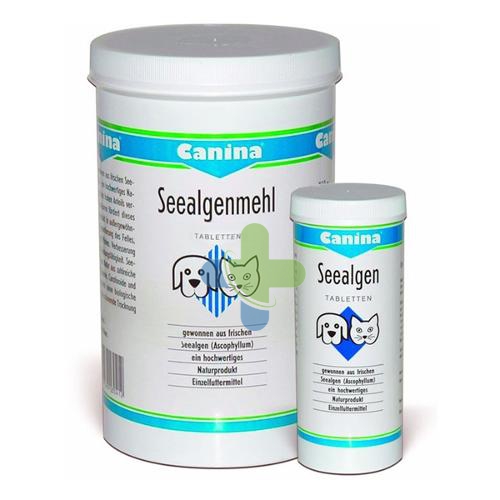 Seealgen Polv 750g