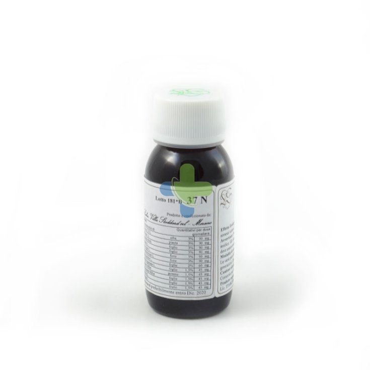 Labor Villa Stoddard Lvs 37n Viola Tricolor Comp