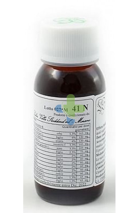 Labor Villa Stoddard Lvs 41n Equisetum Arvense Comp