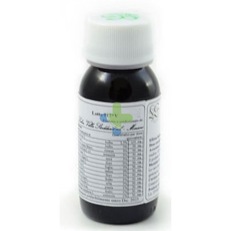 Labor Villa Stoddard Lvs 85c Erigeron Canadens Comp