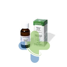 Sarandrea Marco &c. Borsa Di Pastore 60ml Tm