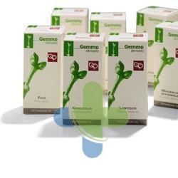 Sarandrea Marco &c. Corbezzolo 60ml Tm