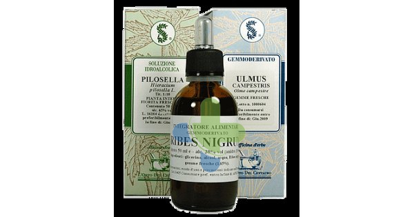Sarandrea Marco &c. Eleuterococco 100ml Tm