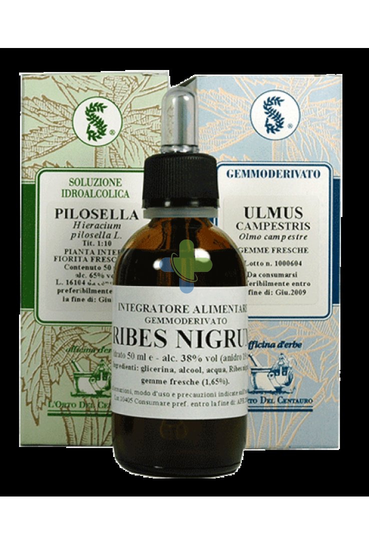 Sarandrea Marco &c. Fieno Greco 100ml Tm