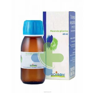 Sarandrea Marco &c. Genziana 60ml Tm