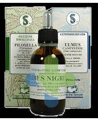 Sarandrea Marco &c. Pino Mugo 100ml Tm