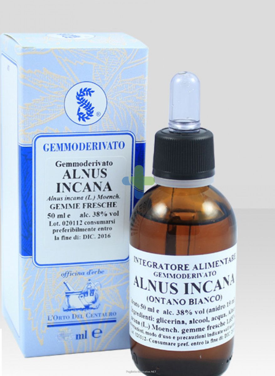 Sarandrea Marco &c. Alnus Incana 60ml Mg