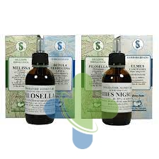 Sarandrea Marco &c. Viscum Album 100ml Mg