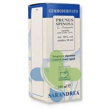 Sarandrea Marco &c. Prunus Spinosa 100ml Mg
