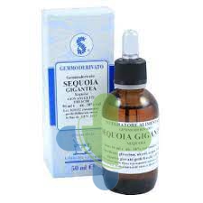 Sarandrea Marco &c. Sequoia Gigantea 60ml Mg