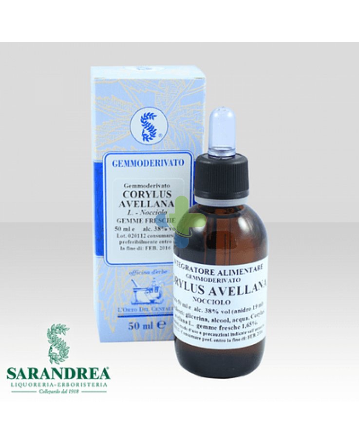 Sarandrea Marco &c. Corylus Avellana 100ml Mg