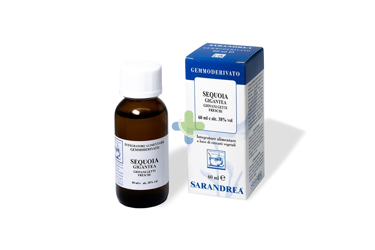 Sarandrea Marco &c. Sequoia Gigantea 100ml Mg