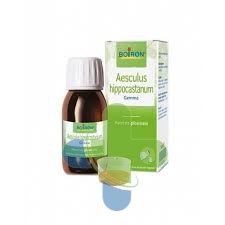 Sarandrea Marco &c. Aesculus Hippocas 100ml Mg