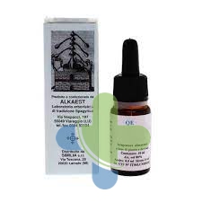 Alkaest Qe51 Limone Comp10