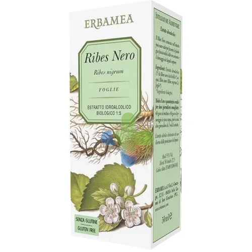 Erbamea Ribes Nigrum Gemme Gd Bio