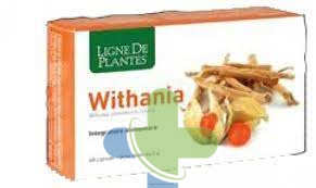 Erbamea Withania 50 Cps Veg