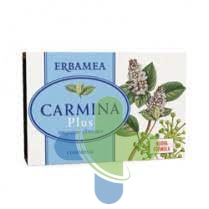 Erbamea C Salice 24cpr