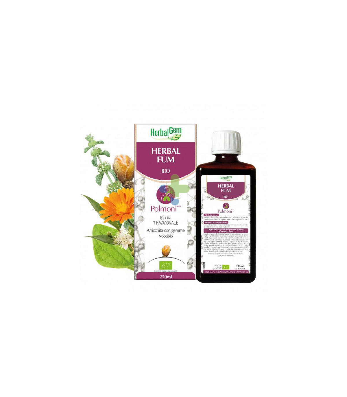 Herbalgem Italia Herbalgem Fum Bio Scir 250ml