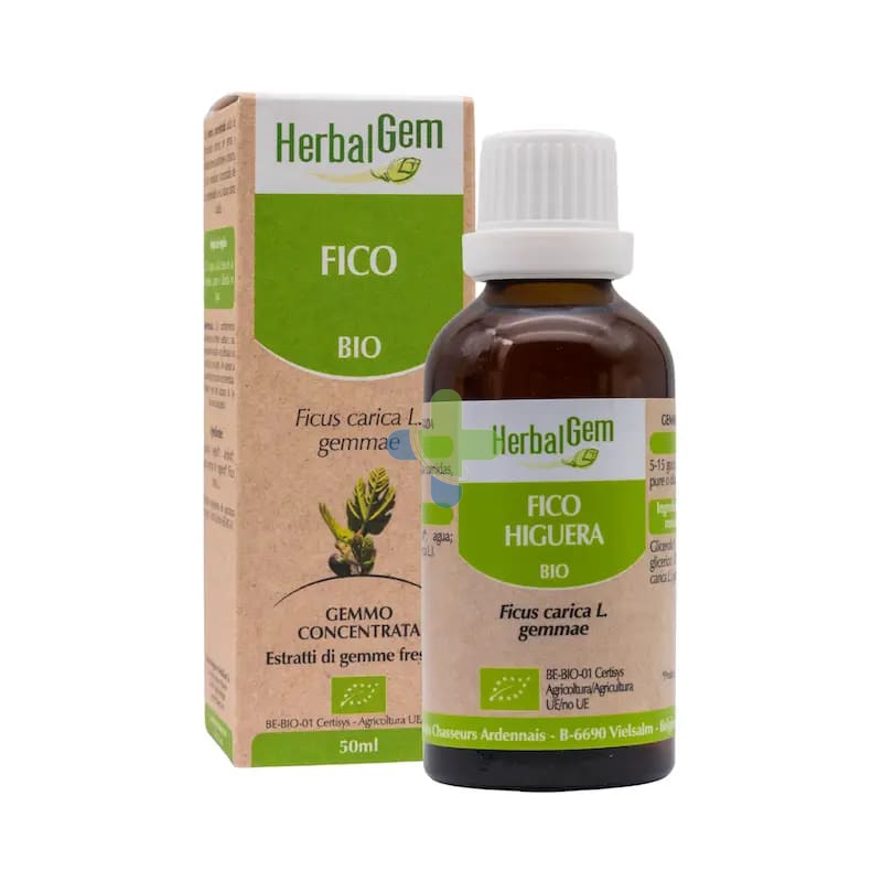 Herbalgem Italia Herbalgem Mg Bio Fico 50ml