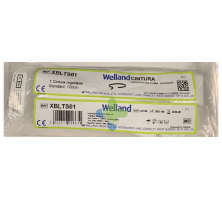 Teleflex Medical Linea Active Cint Stand 120cm