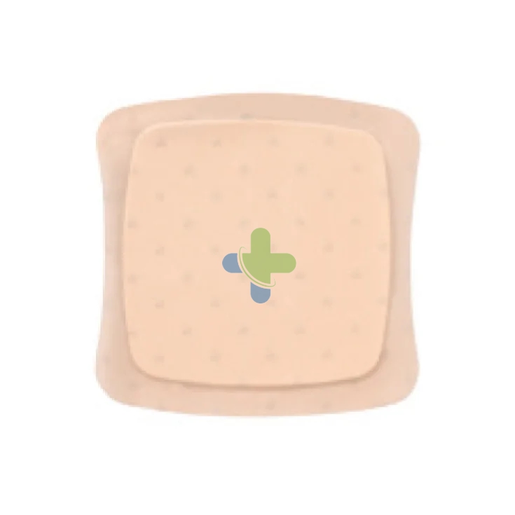 Convatec Italia Aquacel Ag Foam N/ades 10x10